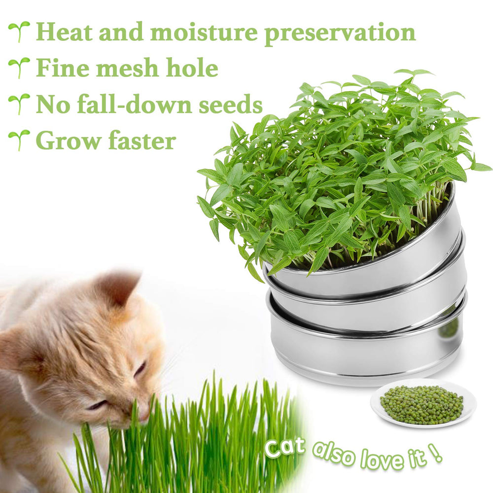 SOLIGT seed sprouting kit shown in a kitchen setting