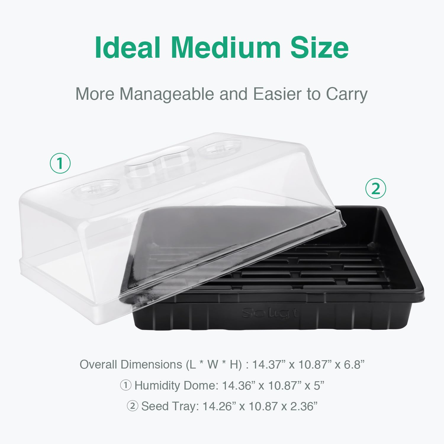 SOLIGT Seed Starter Tray showing inner cell layout
