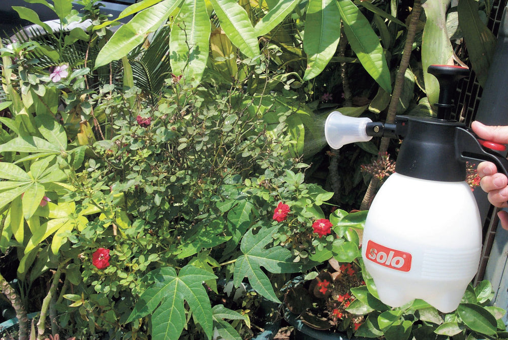 SOLO 418-2L sprayer with cleaning kit accessories