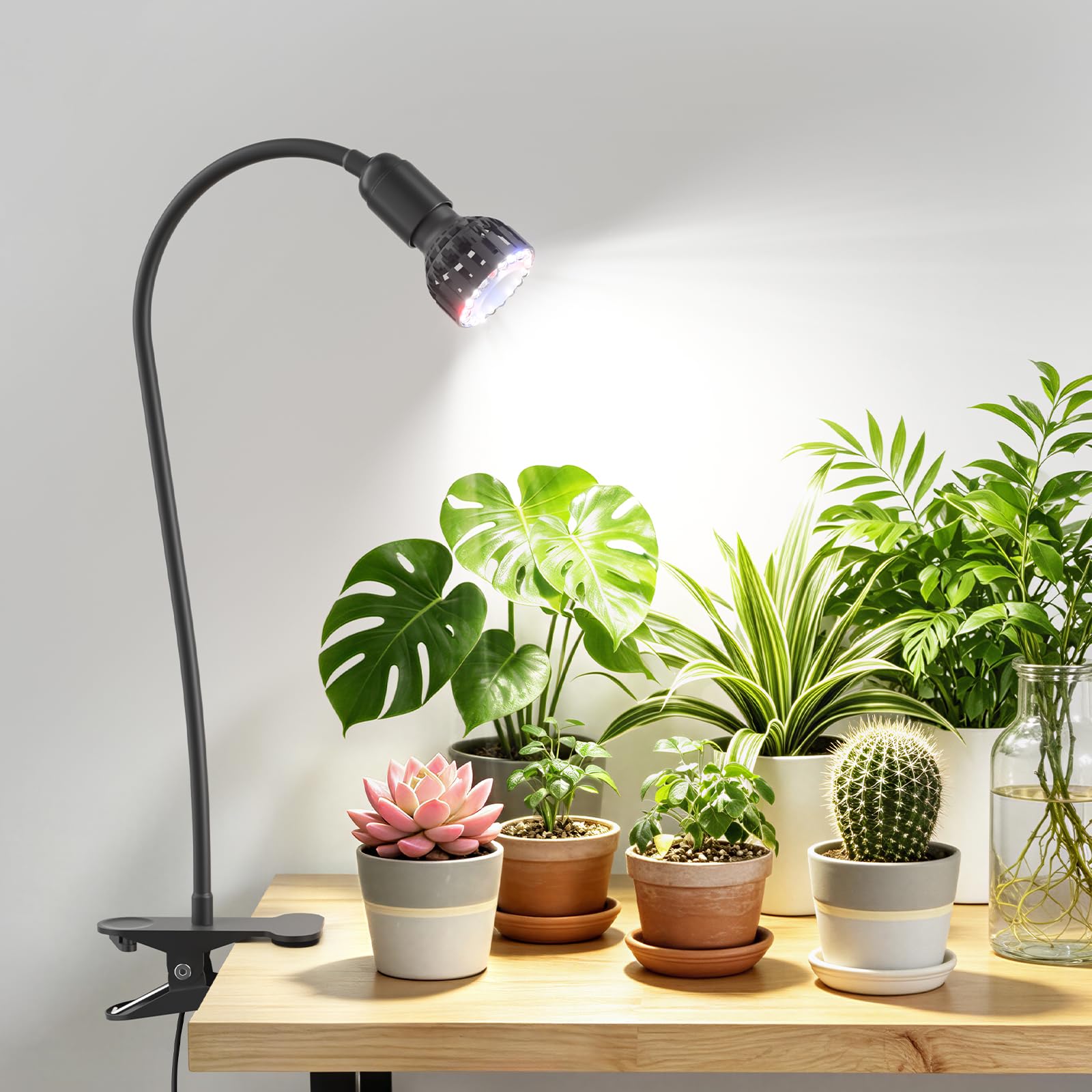 Sonamindary 10W Grow Light front view with flexible arm