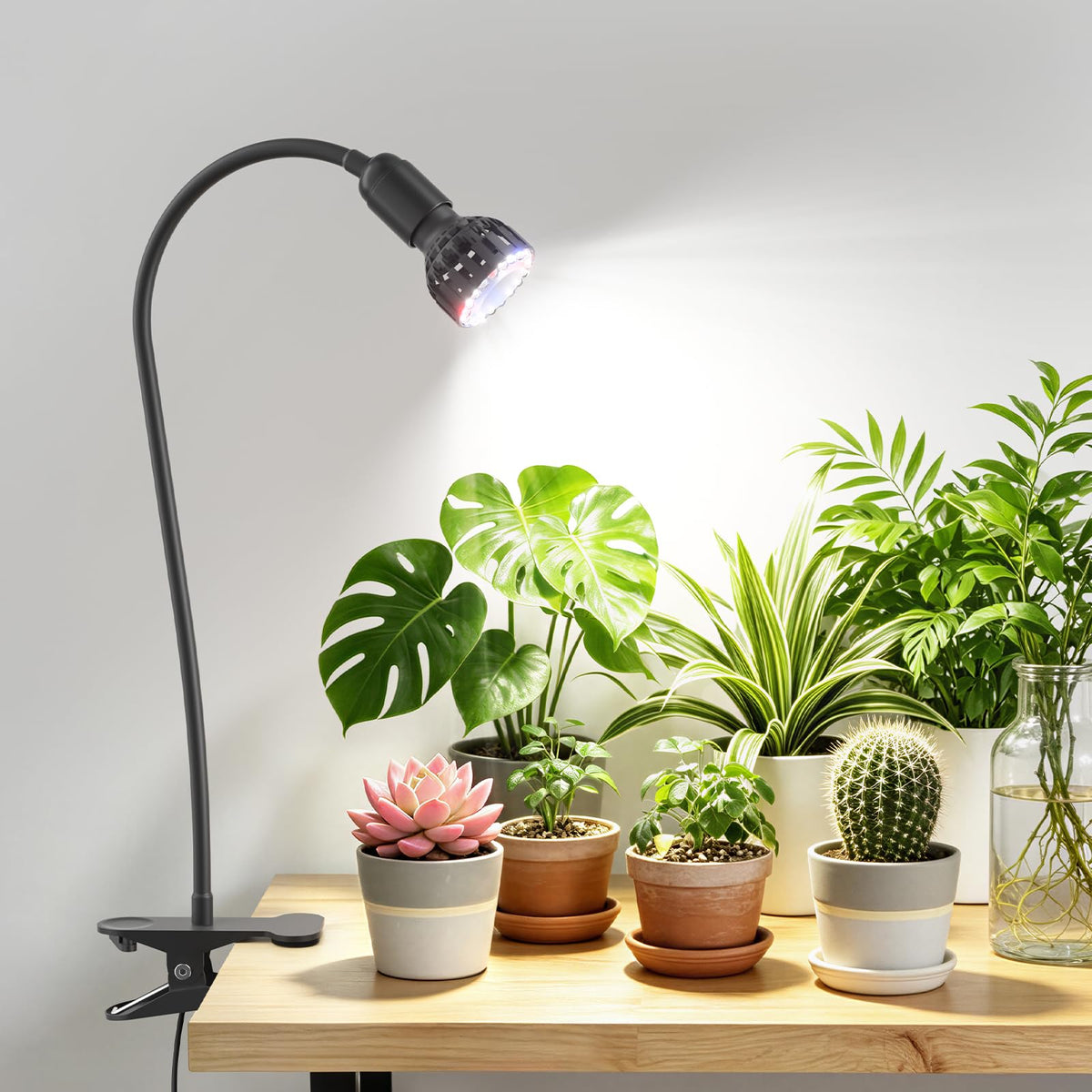 Sonamindary 10W Grow Light front view with flexible arm
