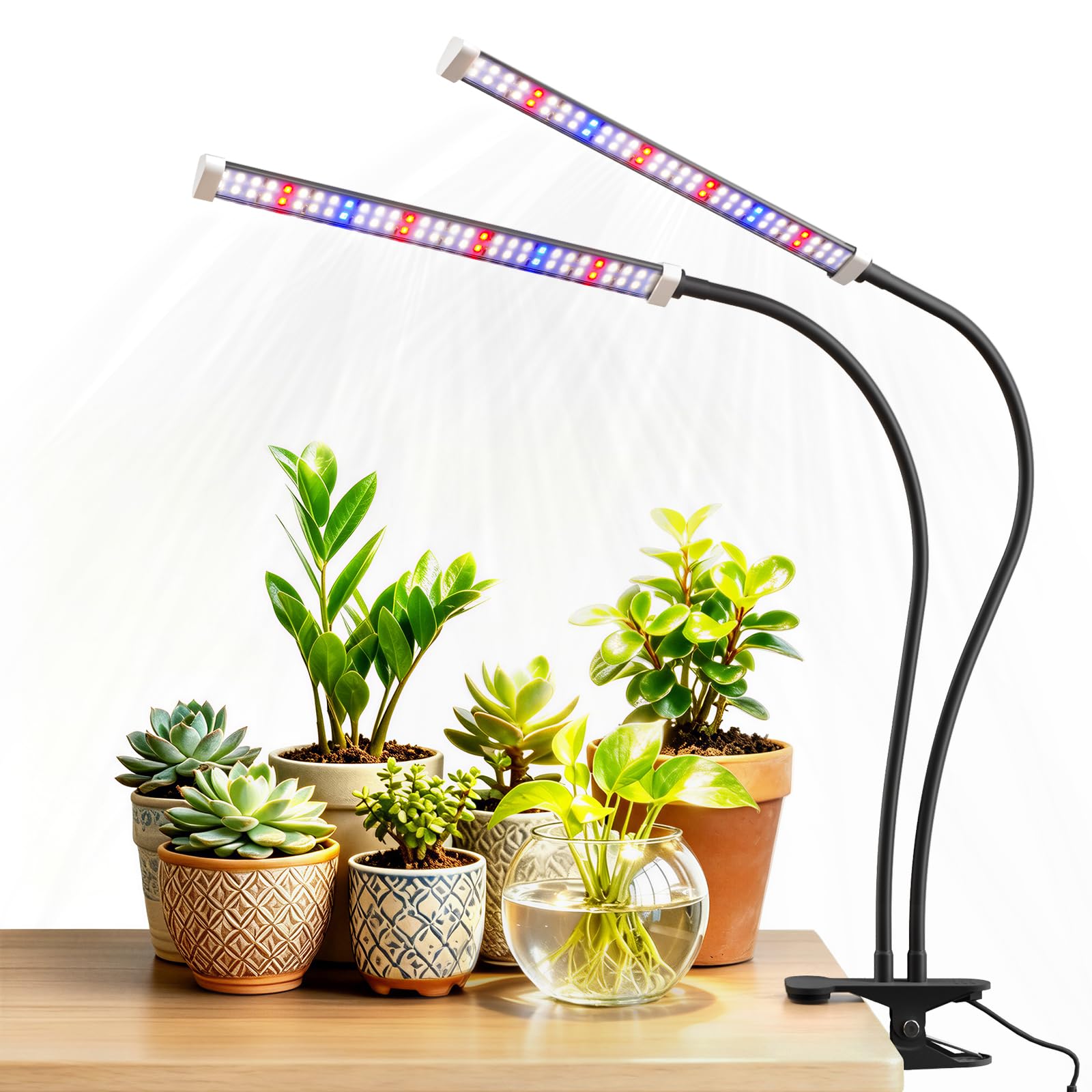 Sonamindary dual head grow light with flexible arms and clamp