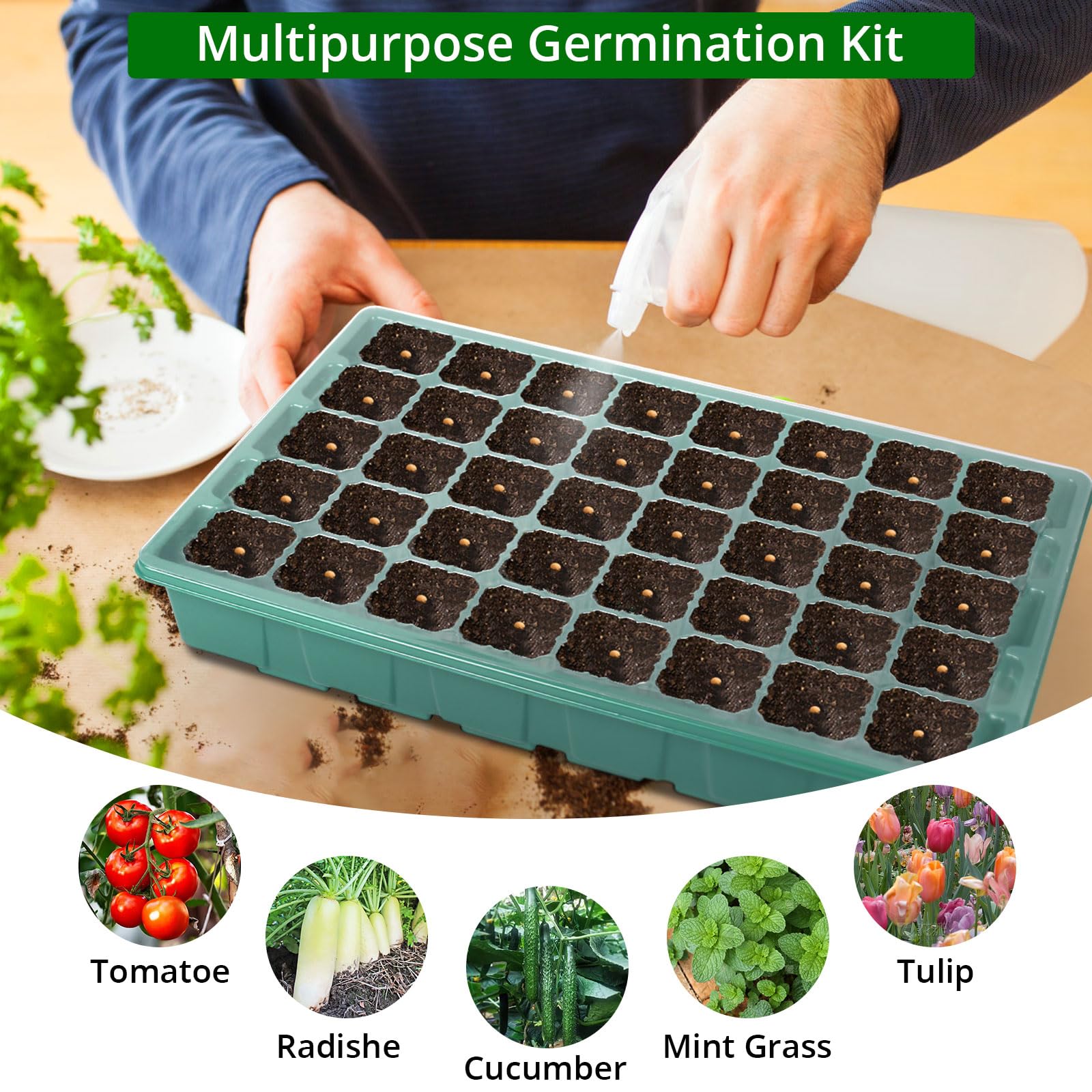 Sondiko seed starter tray in dark green colour