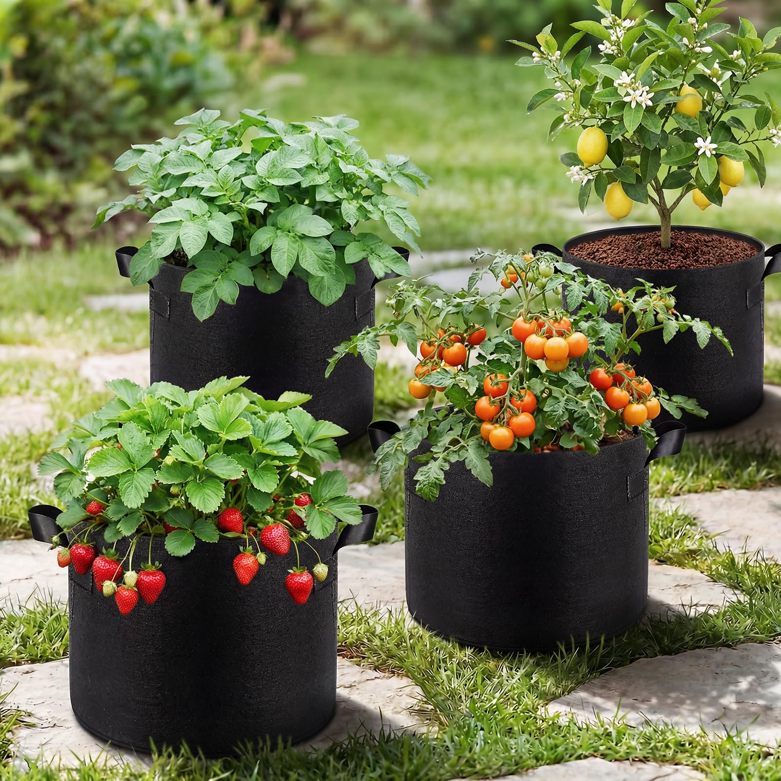 Songrey Grow Bag with potatoes growing inside