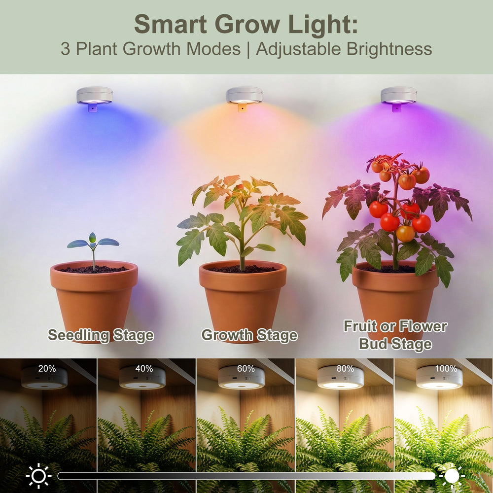 Sooogd grow light in use with indoor plants