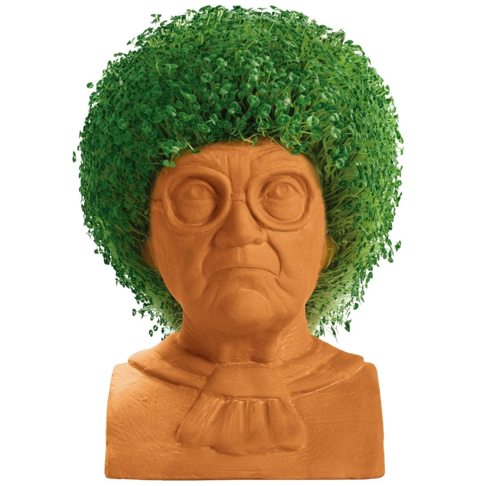 Sophia Chia Pet with growing chia greens