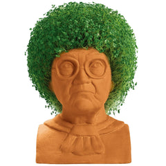 Sophia Chia Pet with growing chia greens