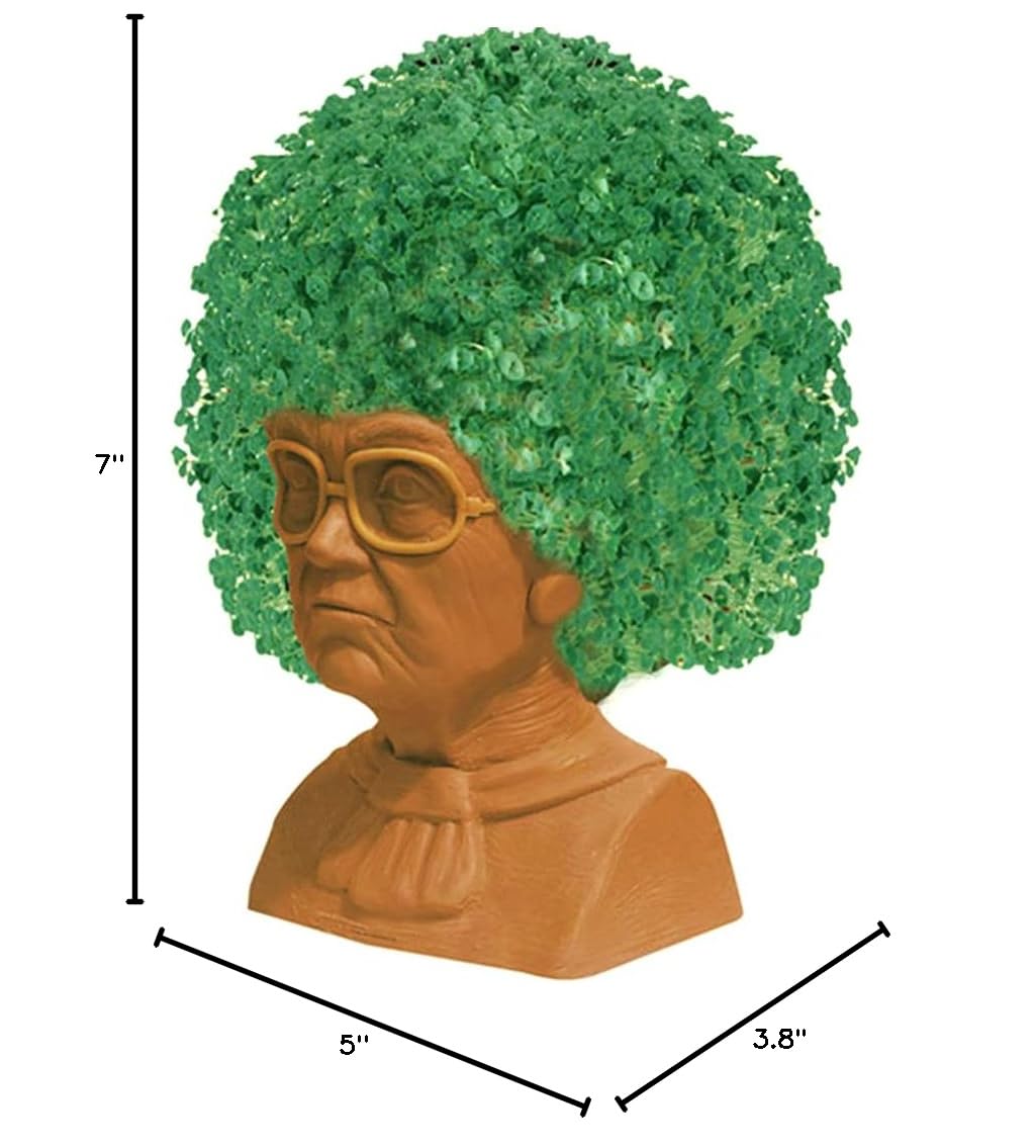 Sophia Chia Pet with planting instructions