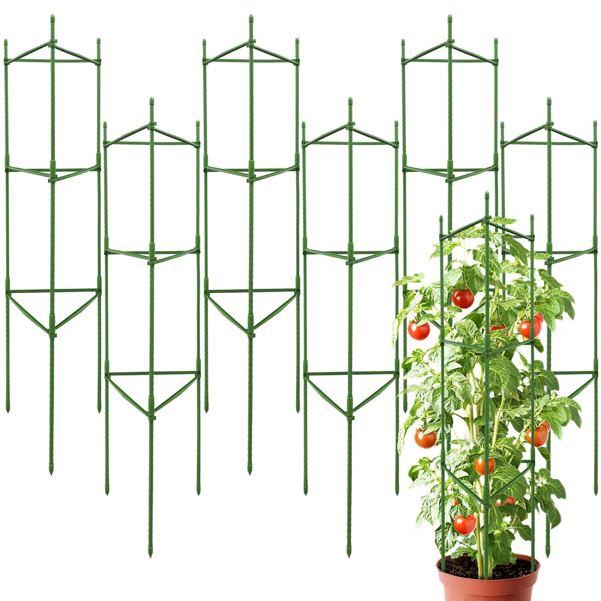 SORANGEUN 48-inch tomato cage front view with robust design