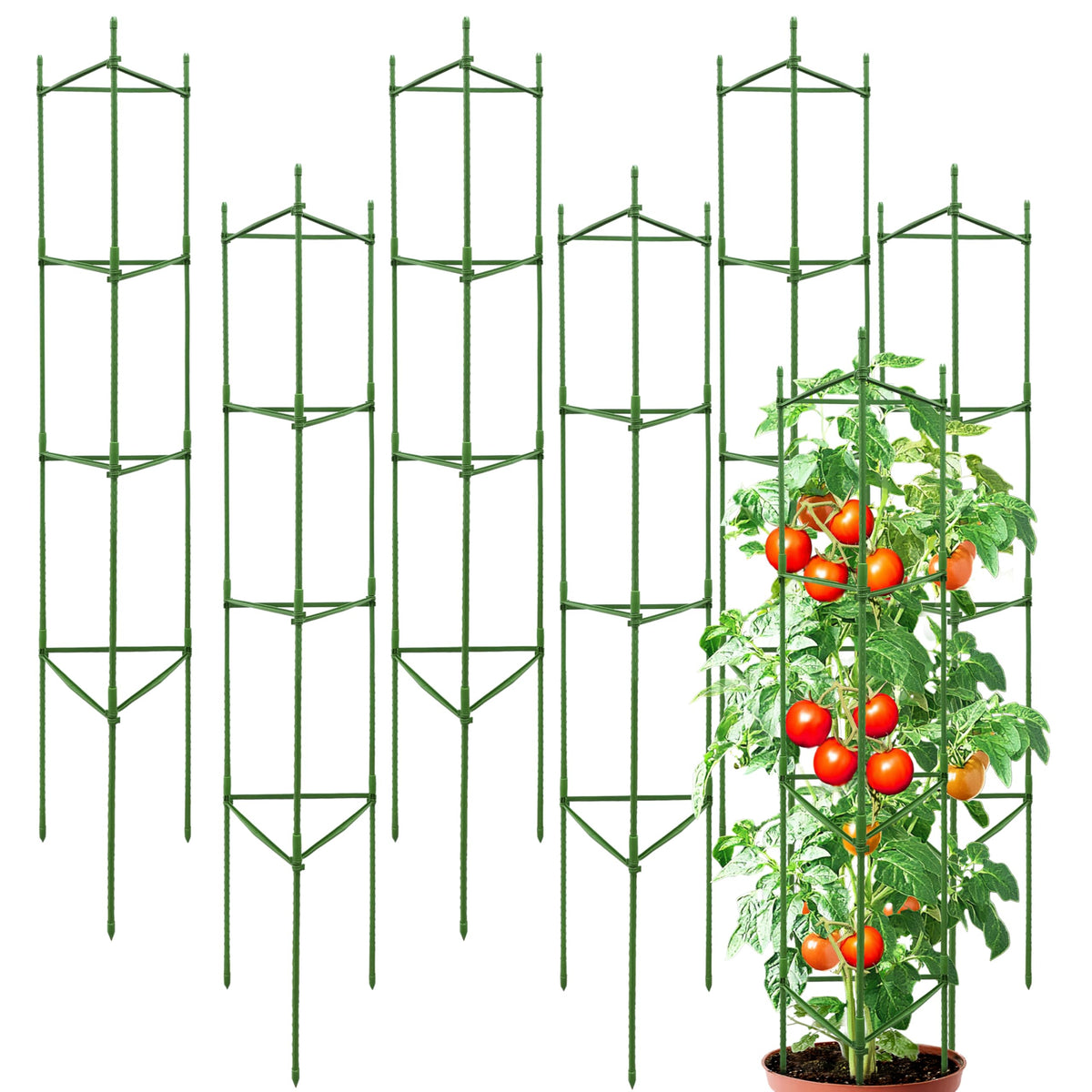 SORANGEUN 63-inch heavy-duty tomato cage front view