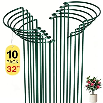 SORANGEUN Peony Cages 10 Pack front view