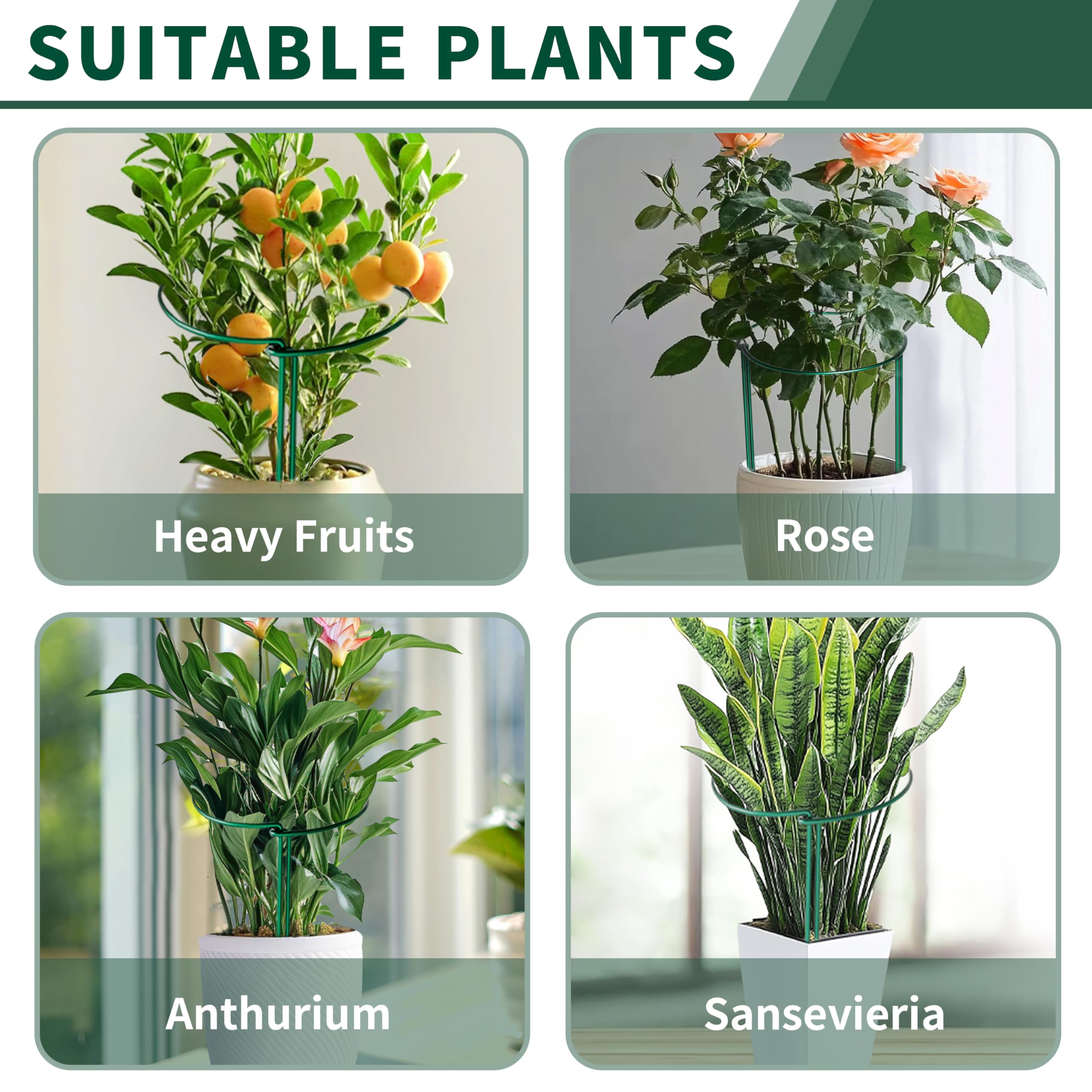 SORANGEUN Peony Cages supporting climbing flowers