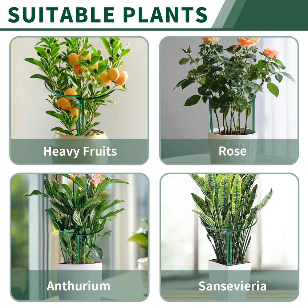 SORANGEUN Peony Cages supporting climbing flowers