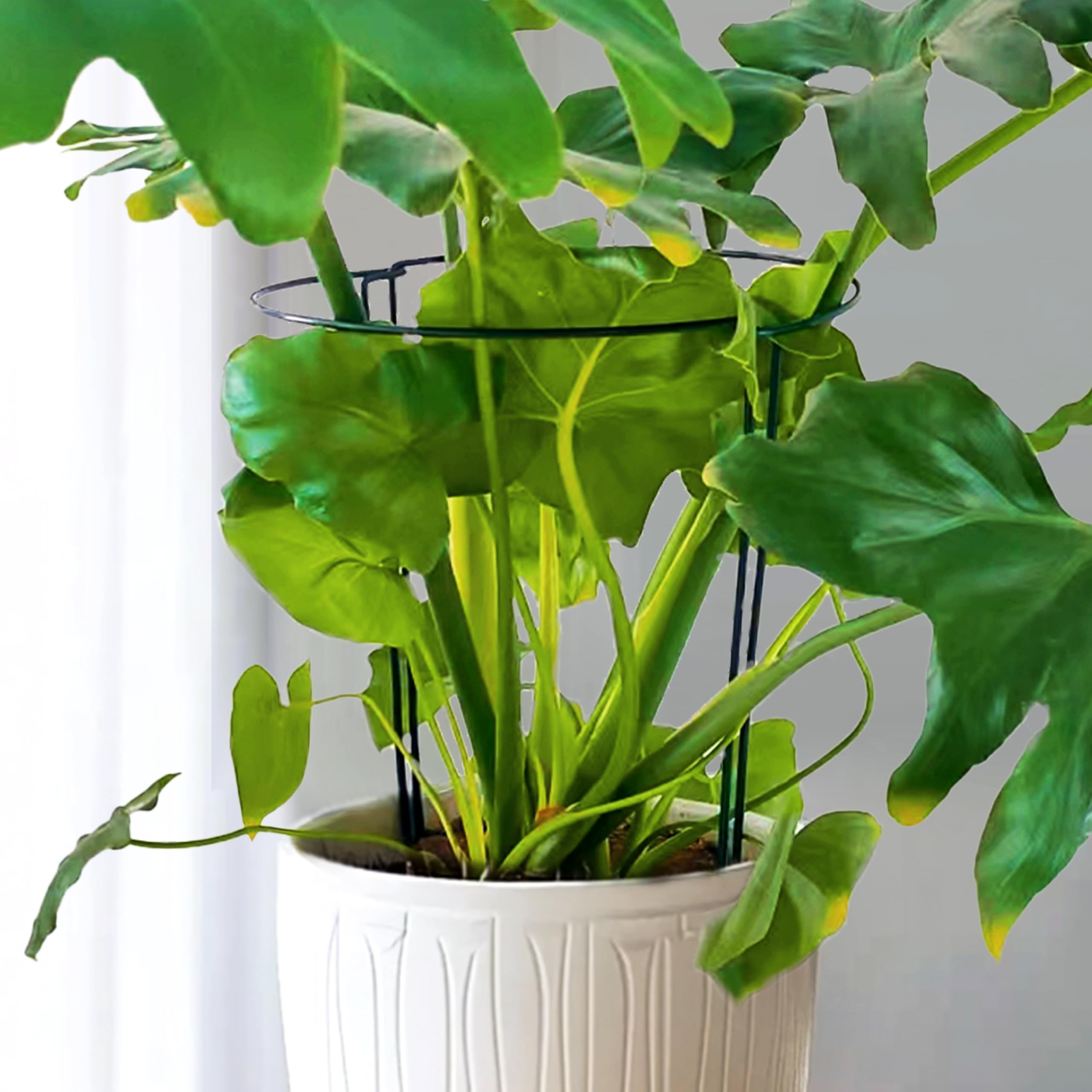 SORANGEUN plant support stakes arranged in a vegetable garden