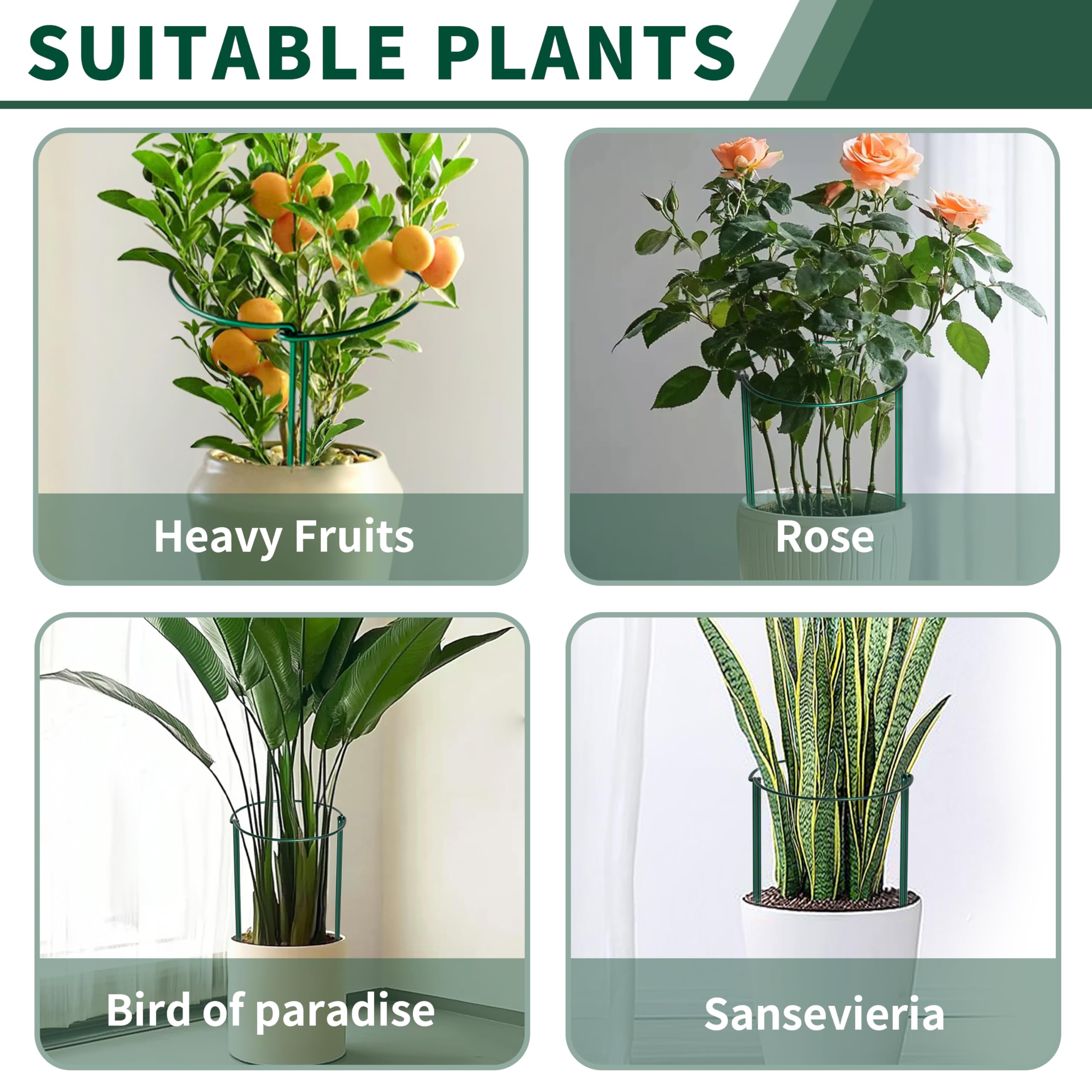 SORANGEUN plant support stakes supporting climbing flowers