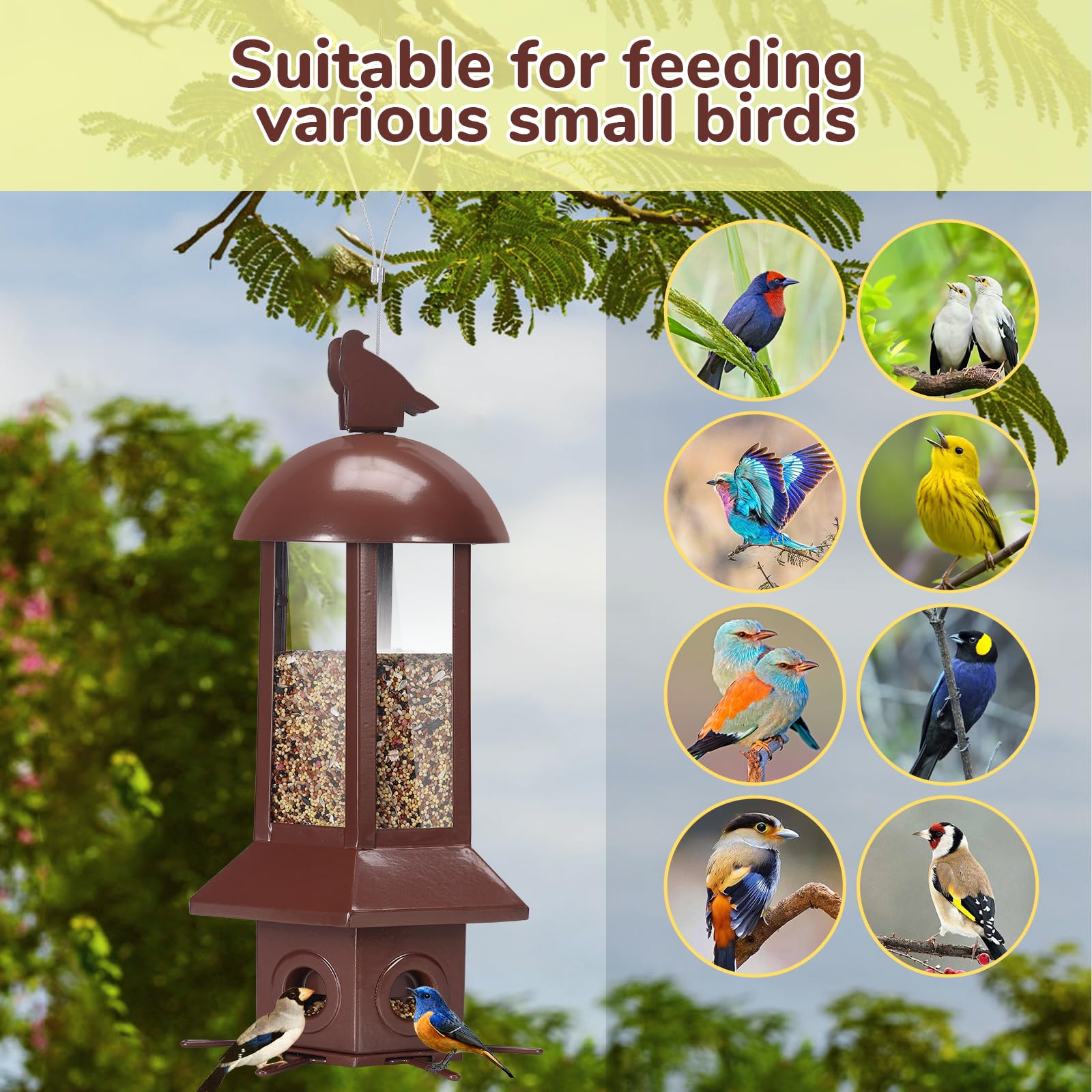 Sorflife bird feeder with included hook for hanging