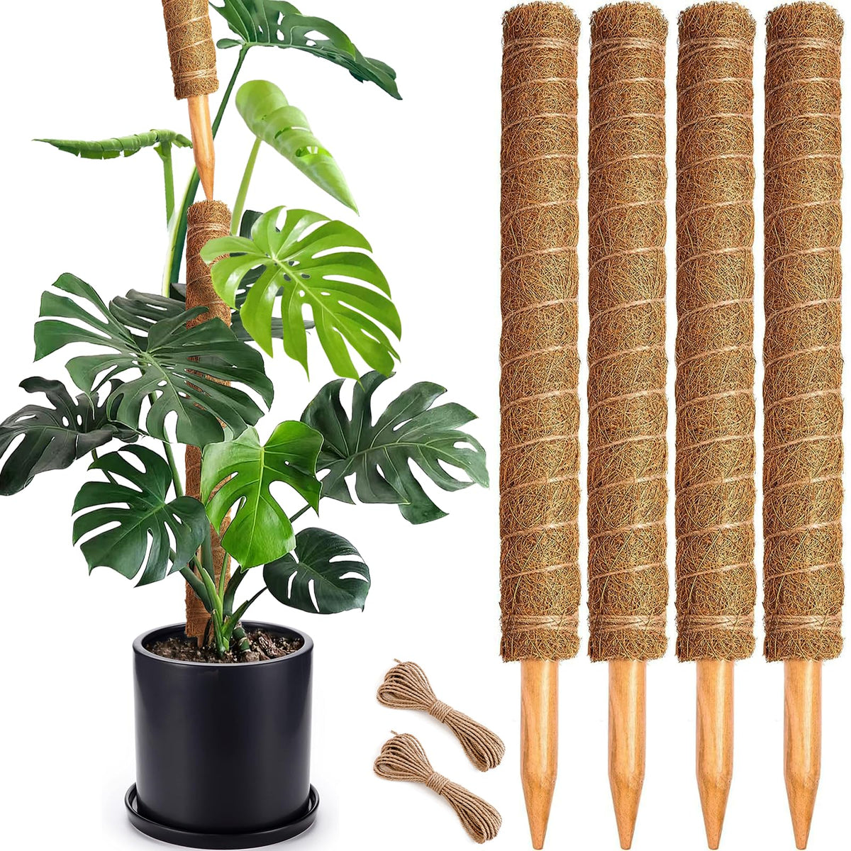 Soupiar 4 Pack 22 Inch Moss Poles with jute rope and stakes