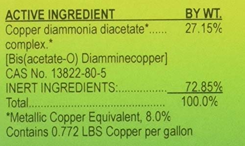 Southern Ag Liquid Copper Fungicide 16oz bottle with label details