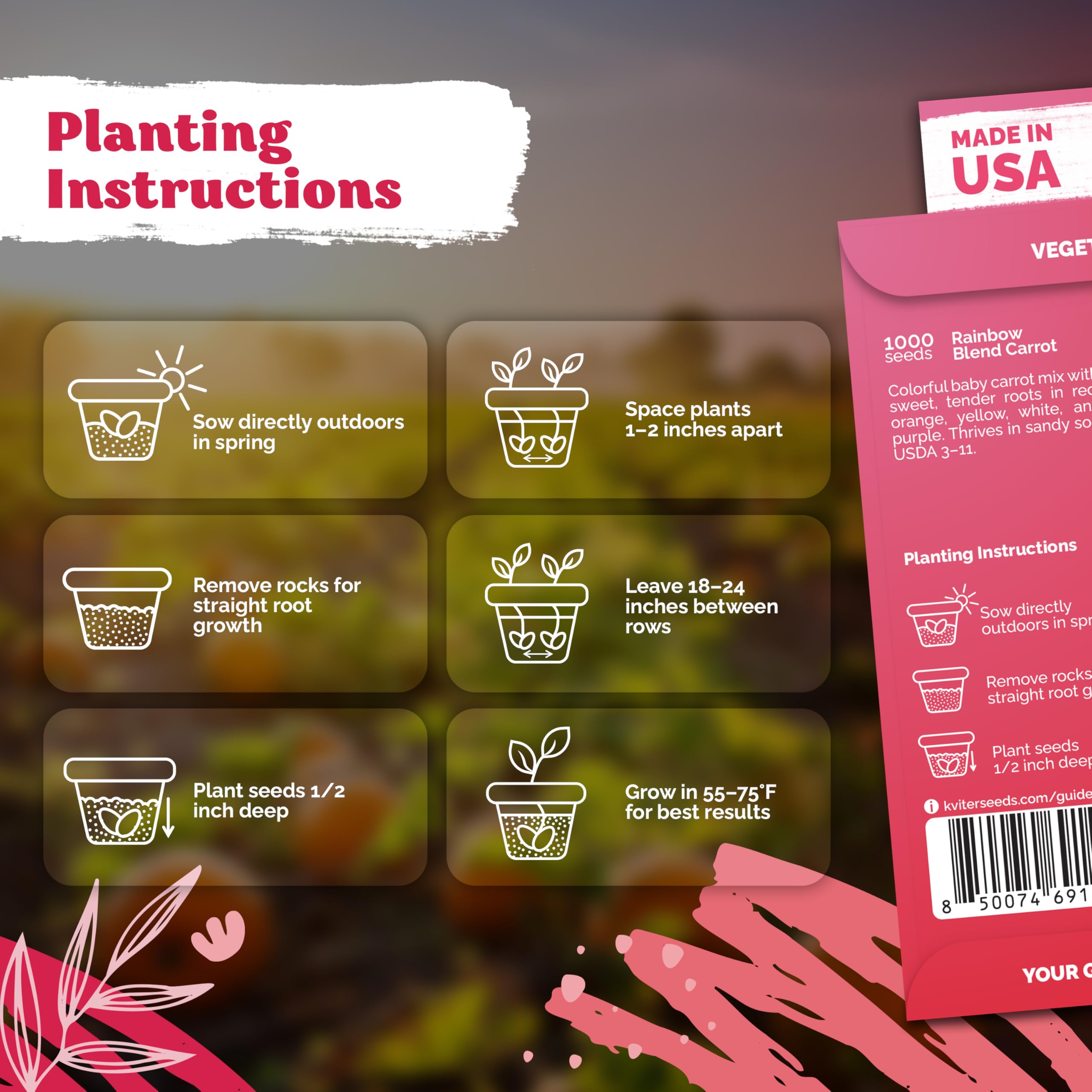Sow carrot seeds in garden soil