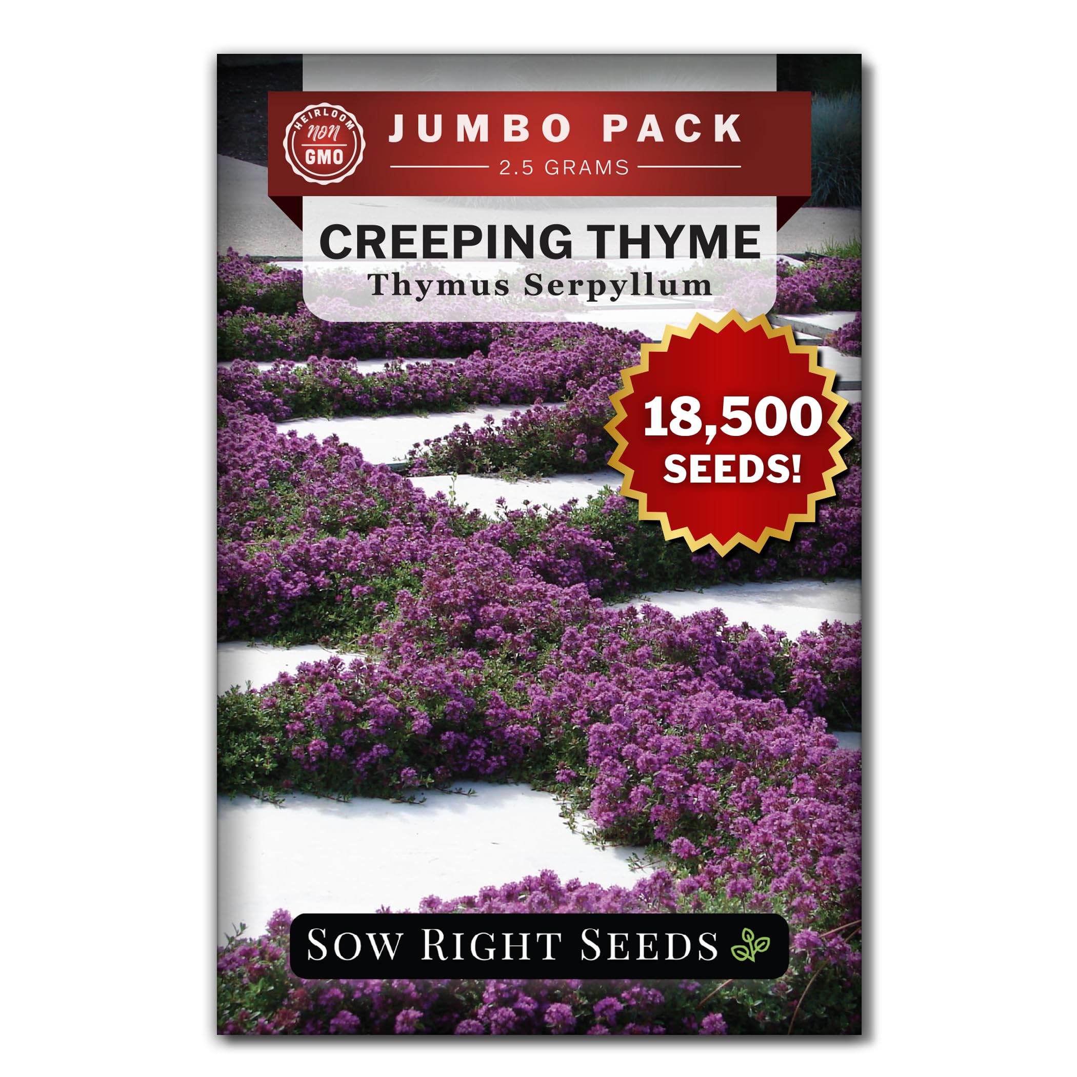 Sow Right Seeds Creeping Thyme seed packet front view