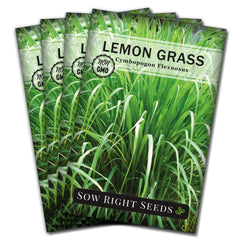 Sow Right Seeds Lemon Grass Seeds packet front view