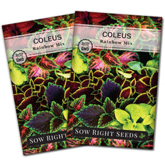 Sow Right Seeds Rainbow Coleus seeds packet front view