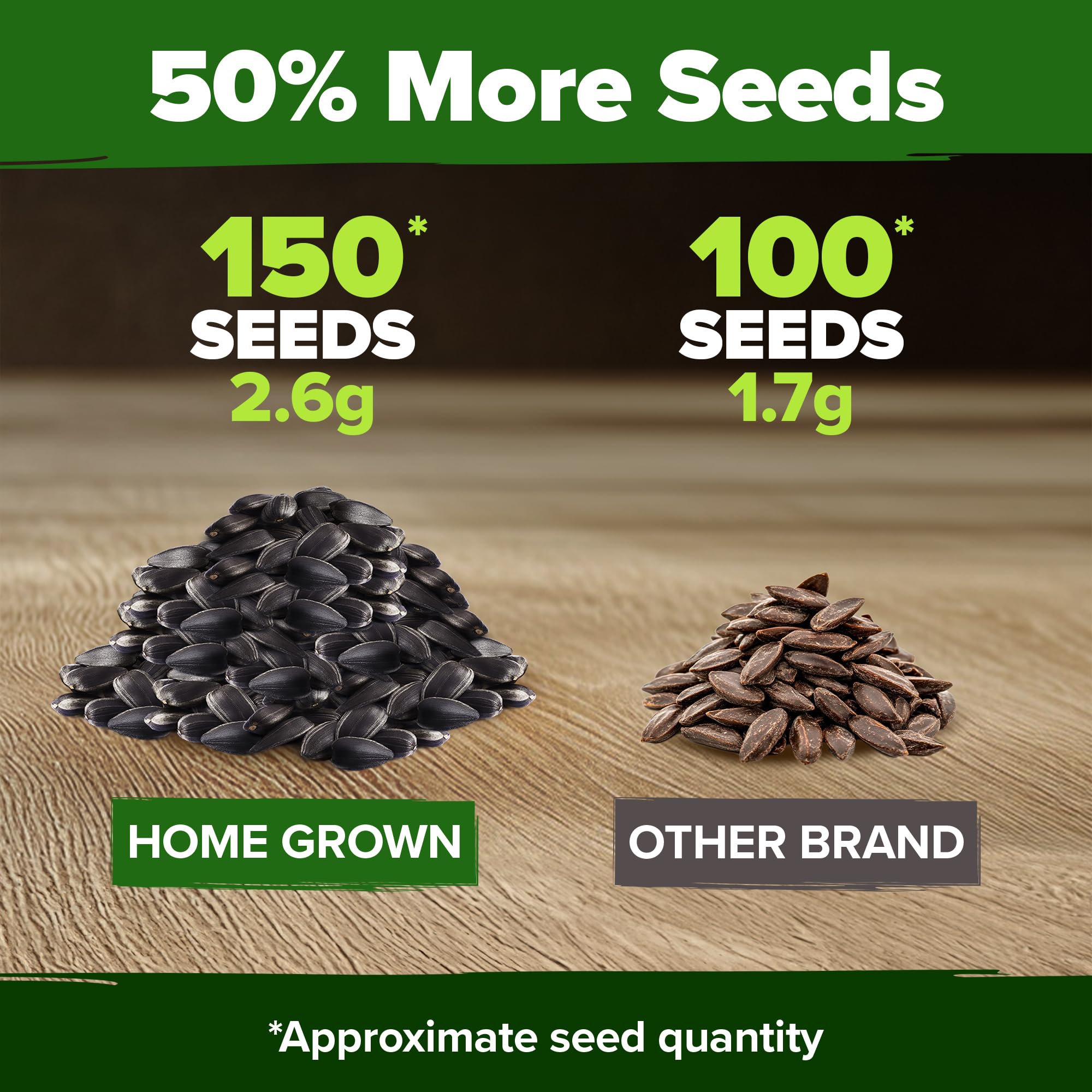 Sowing Chocolate Cherry Sunflower seeds in soil