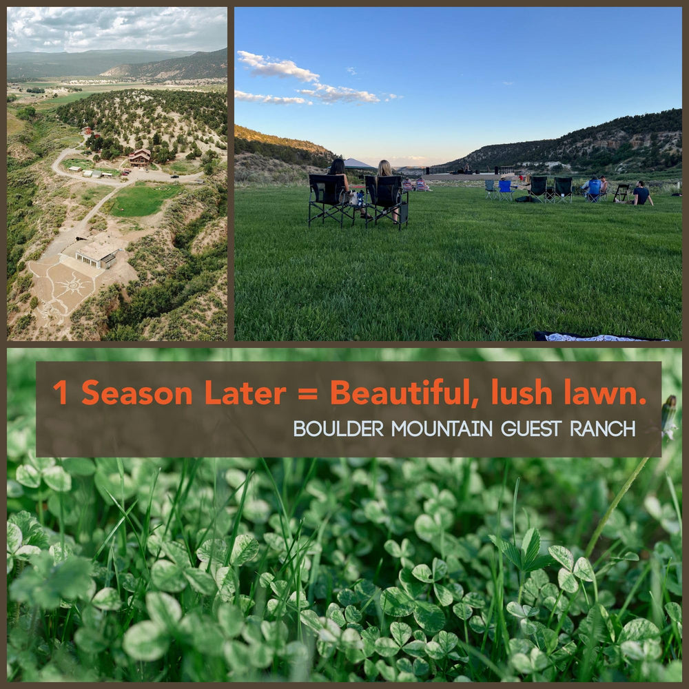 Sowing instructions for Micro Clover Seed