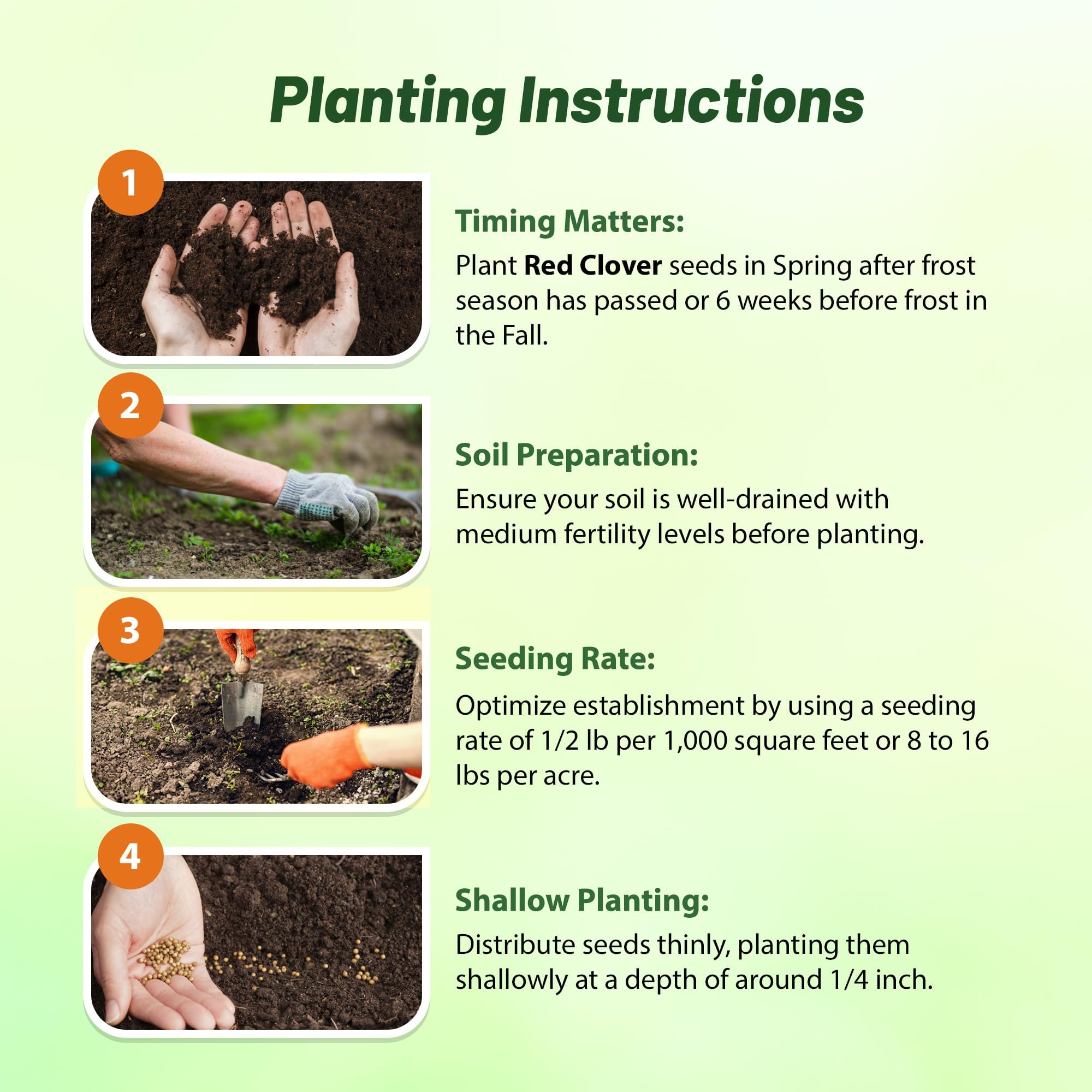 Sowing instructions for Outsidepride red clover seeds
