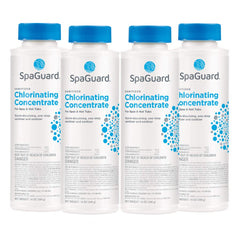 SpaGuard Spa Chlorinating Concentrate 14 oz, packaging front view