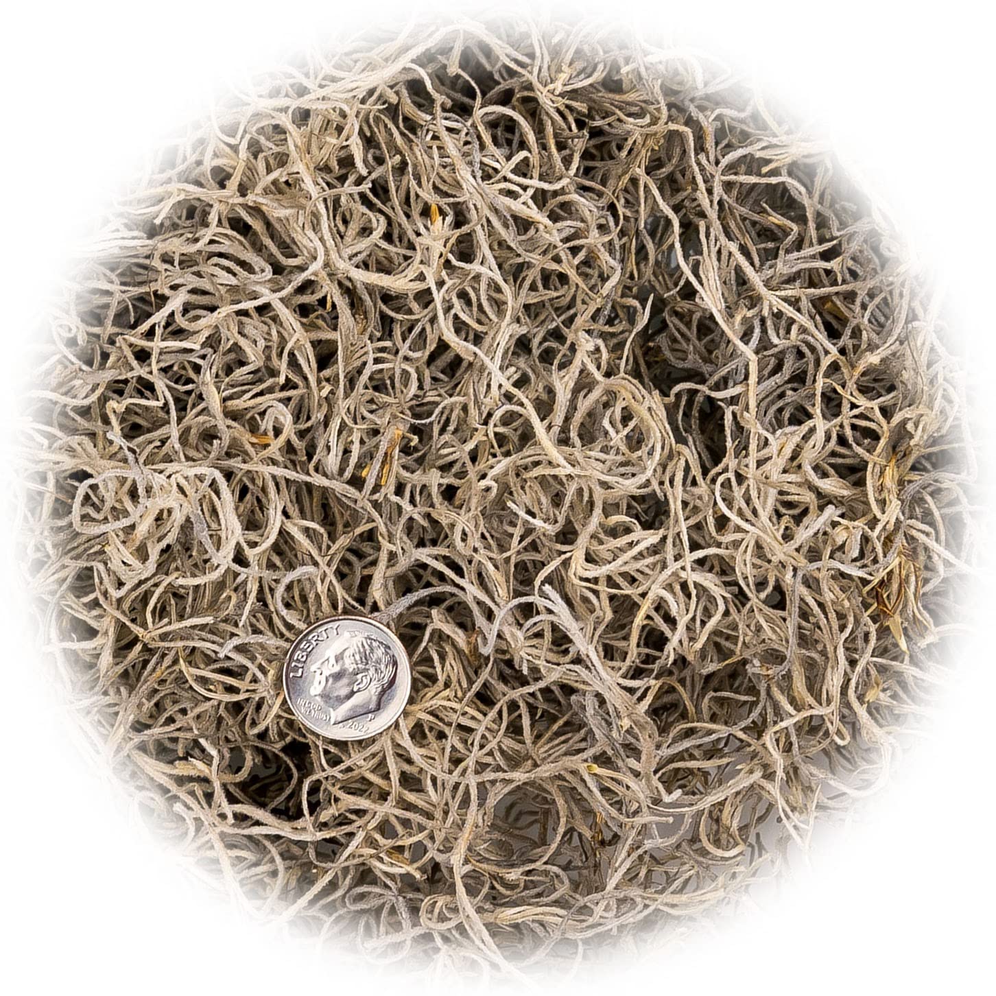 Spanish moss displayed in a decorative arrangement