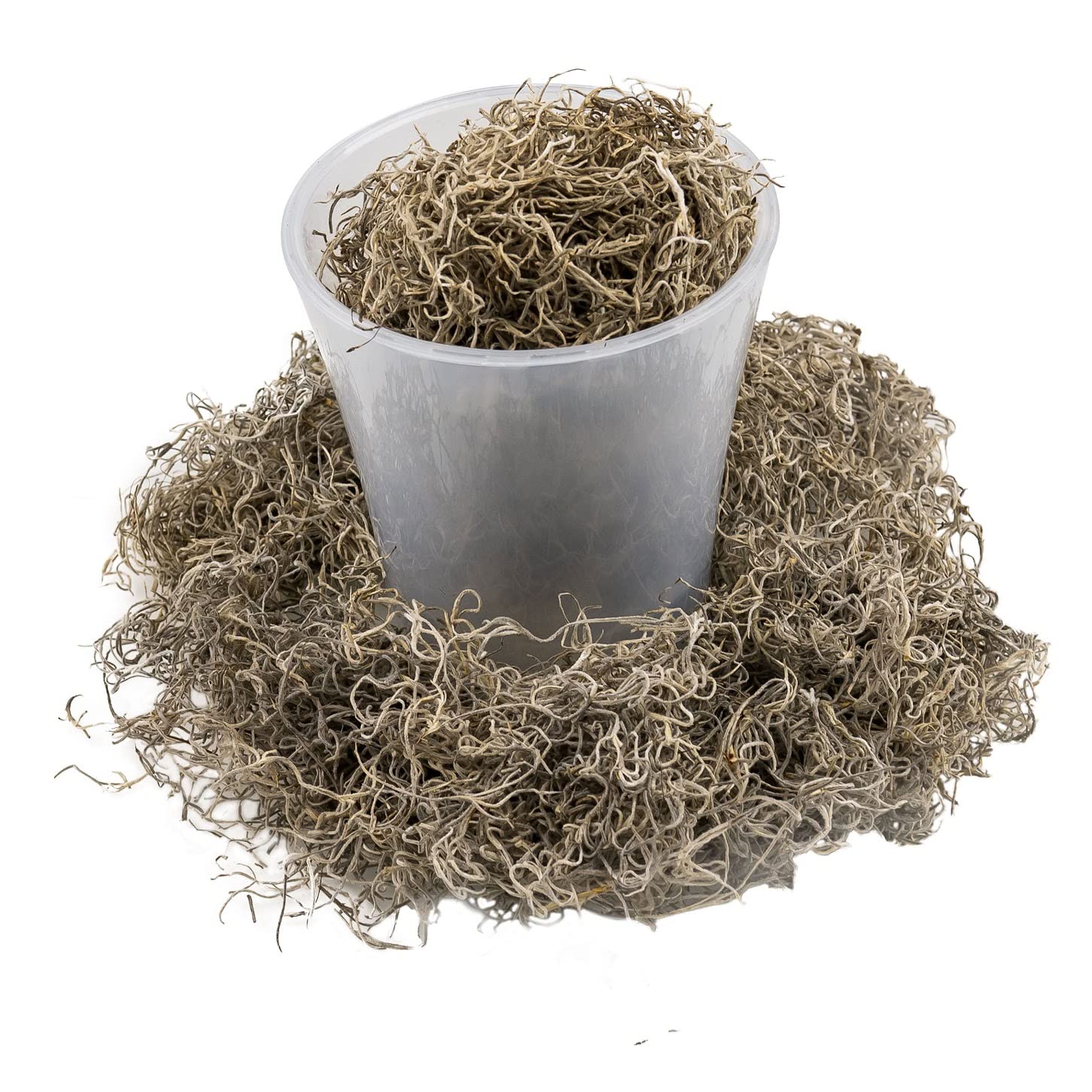 Spanish moss ideal for craft projects and decorations