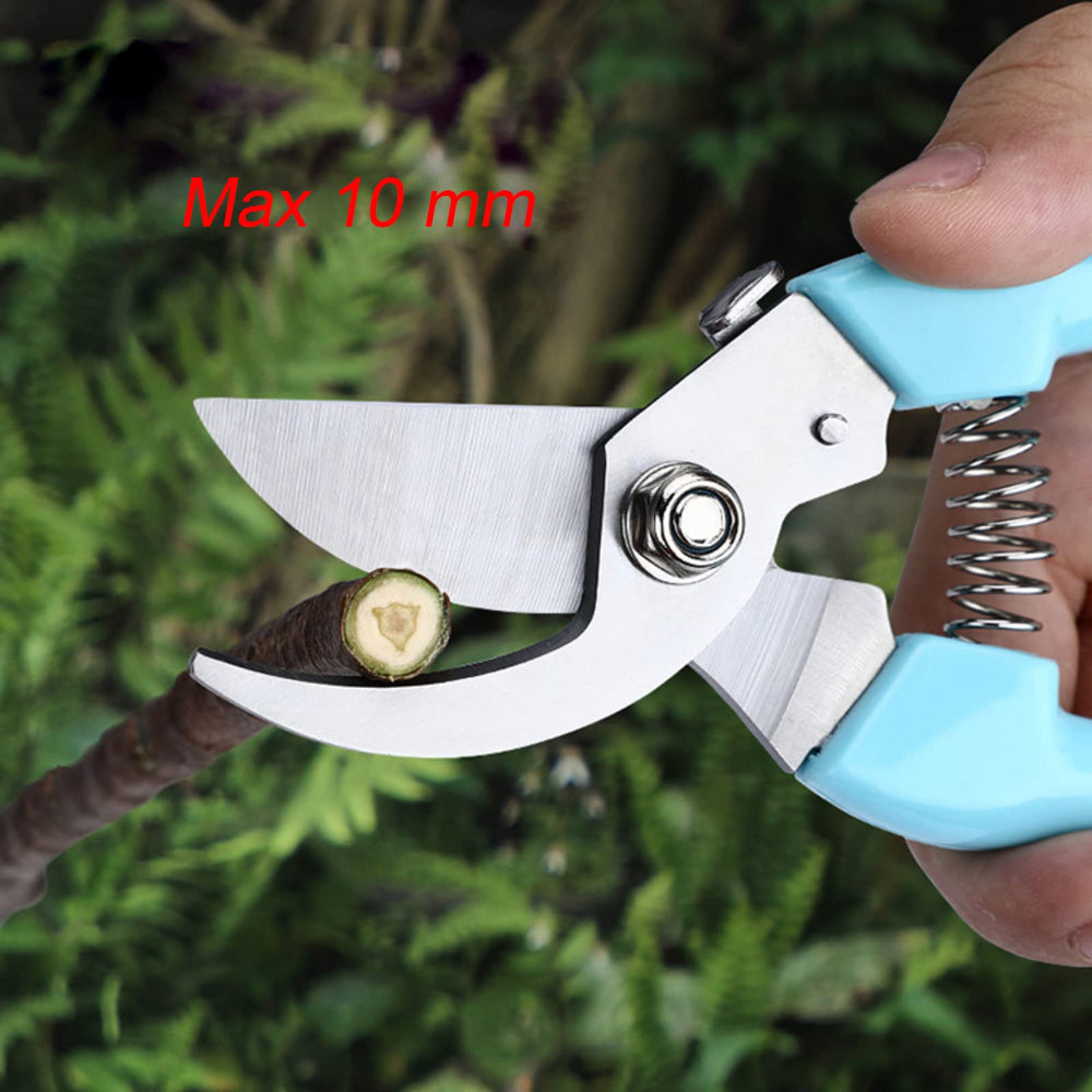 SPDTECH gardening scissors displayed with garden flowers