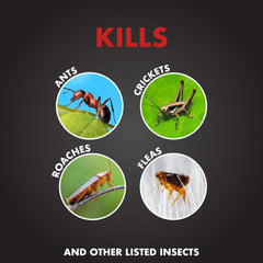 Spectracide Ant Shield Insect Killer Granules shaker bag with label