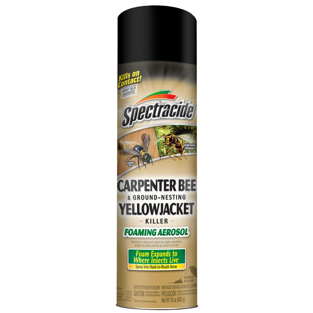 Spectracide Carpenter Bee & Ground-Nesting Yellowjacket Killer 16 oz foam spray front view