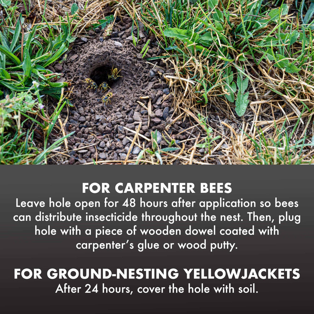 Spectracide Carpenter Bee & Yellowjacket Killer 16 oz product details and specifications