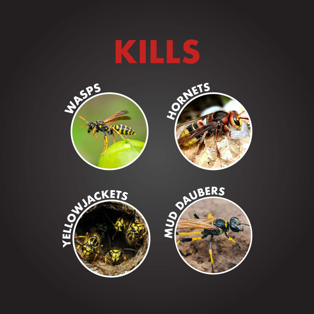 Spectracide Wasp & Hornet Killer Spray side view