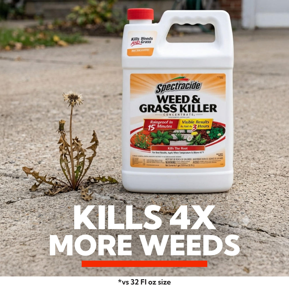 Spectracide Weed & Grass Killer Concentrate instructions on label