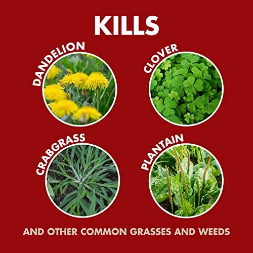 Spectracide Weed & Grass Killer Concentrate with tank sprayer