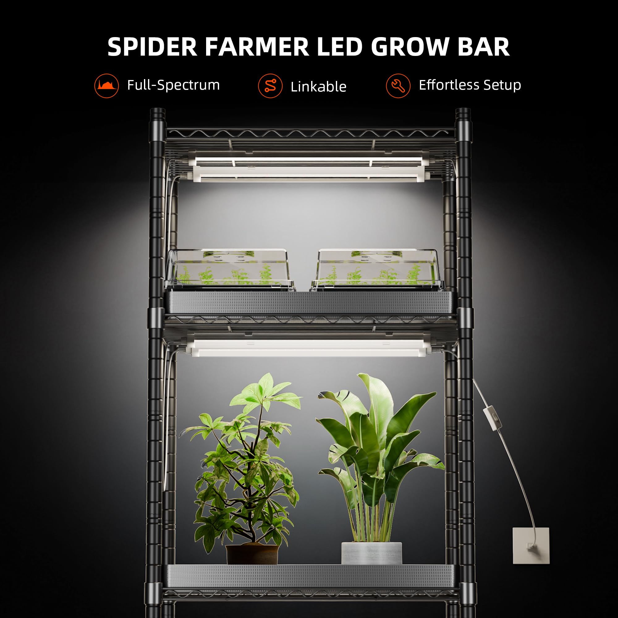 Spider Farmer 2FT T5 LED Grow Light packaging and contents