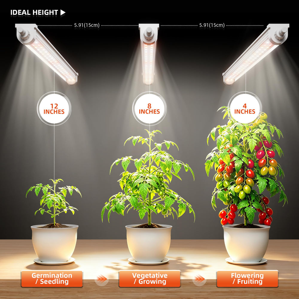 Spider Farmer grow lights linked together
