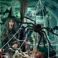 Spider web decoration set including hook and ground nails