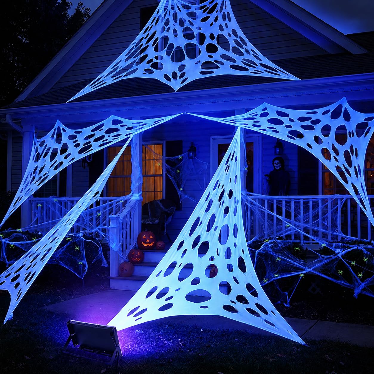 Spider web stretched across a garden path