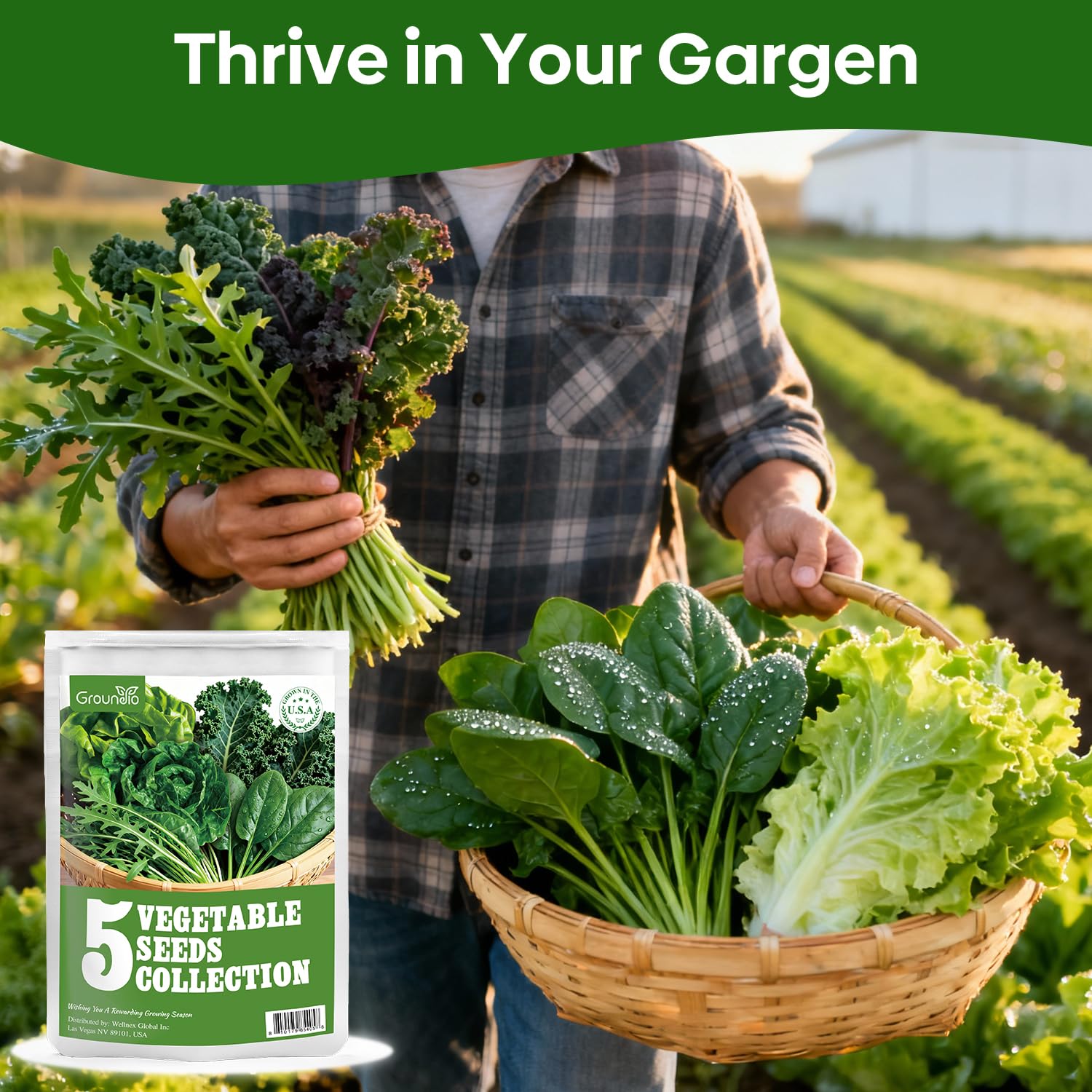 Spinach seeds from Groundio in packet