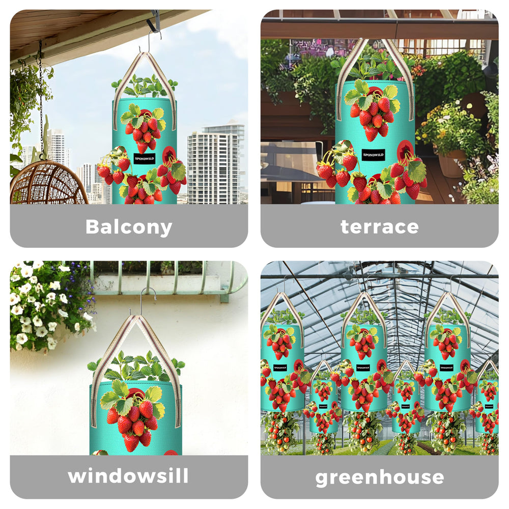 SPONDWILD 3 Gallon planter bag with herbs inside