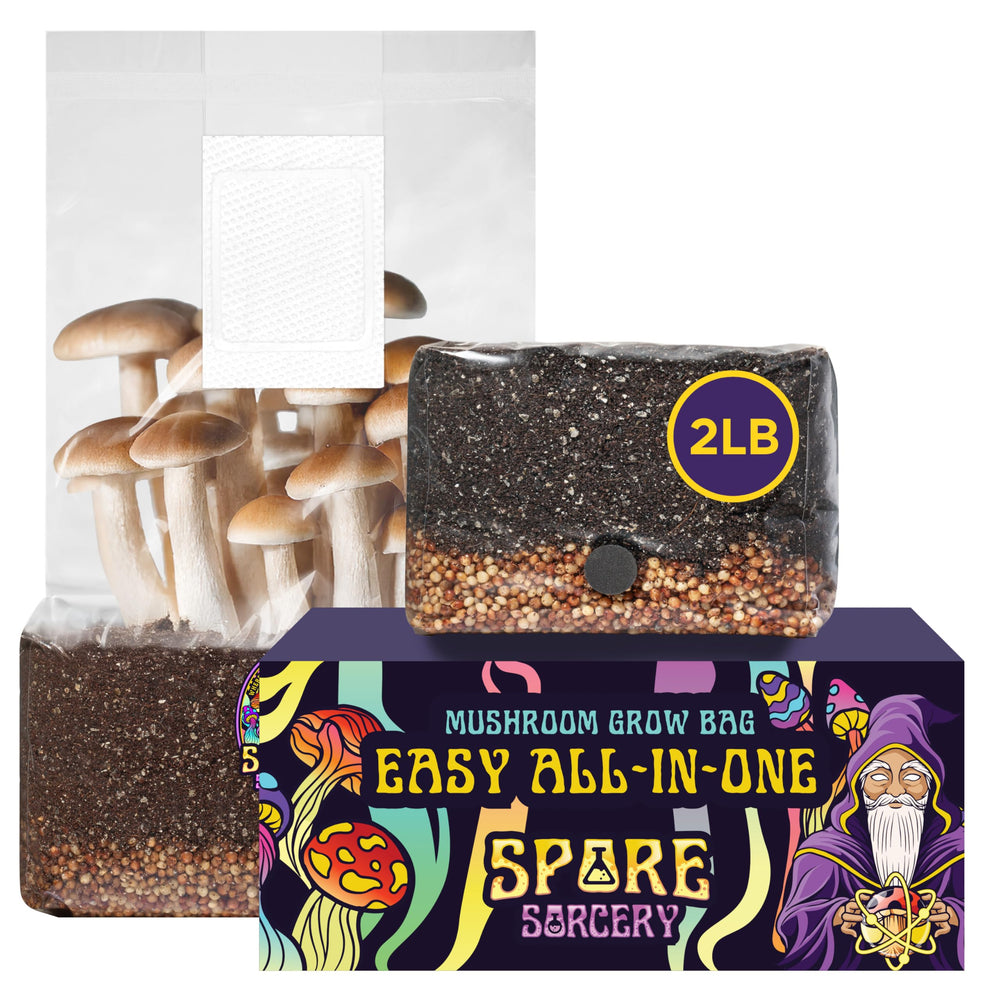 SPORE SORCERY 2 LB All-in-One Mushroom Grow Bag front view