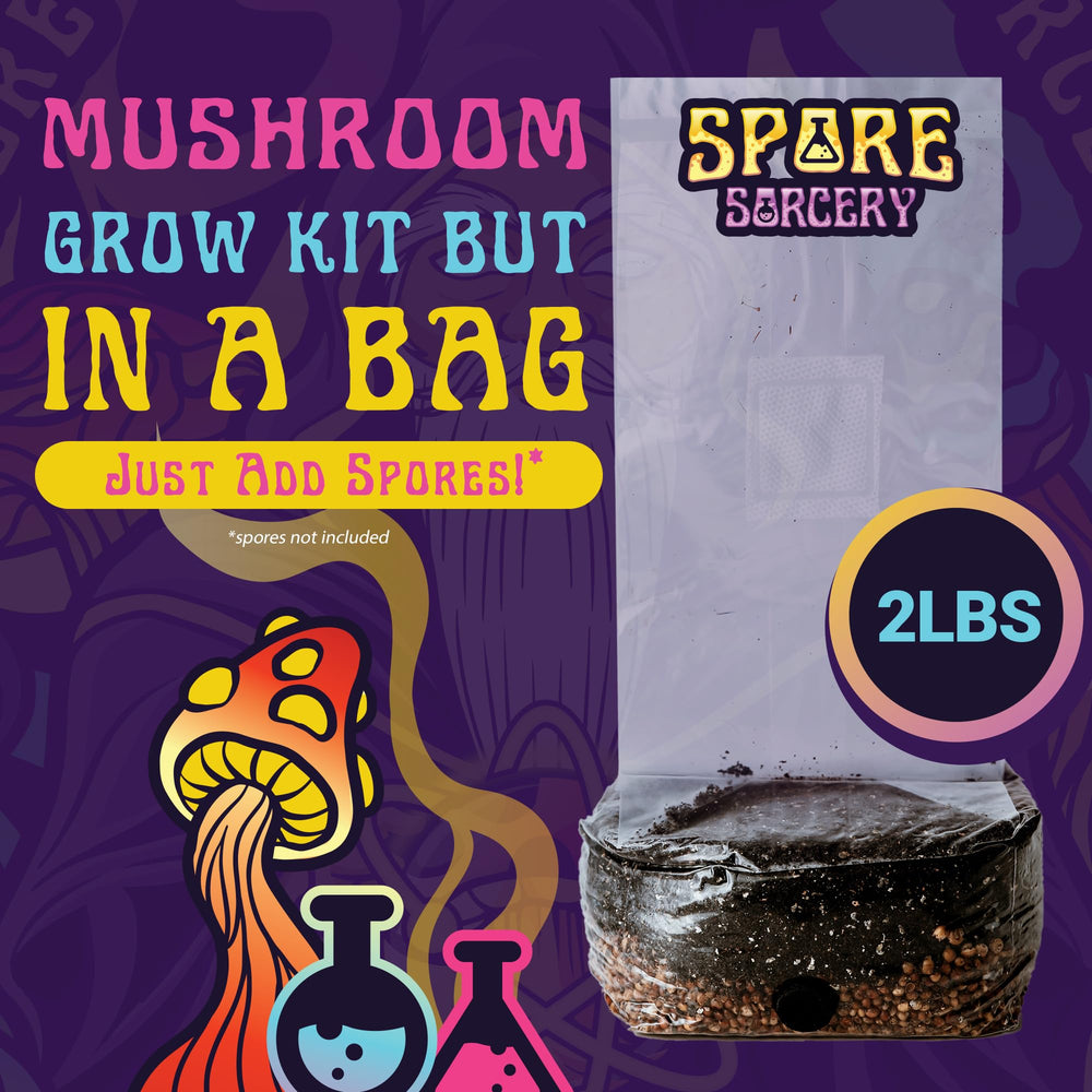 SPORE SORCERY grow bag contents ready for inoculation