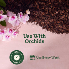 Spraying Miracle-Gro Indoor Plant Food Mist on orchid leaves