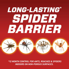 Spraying Ortho Home Defense Insect Killer indoors