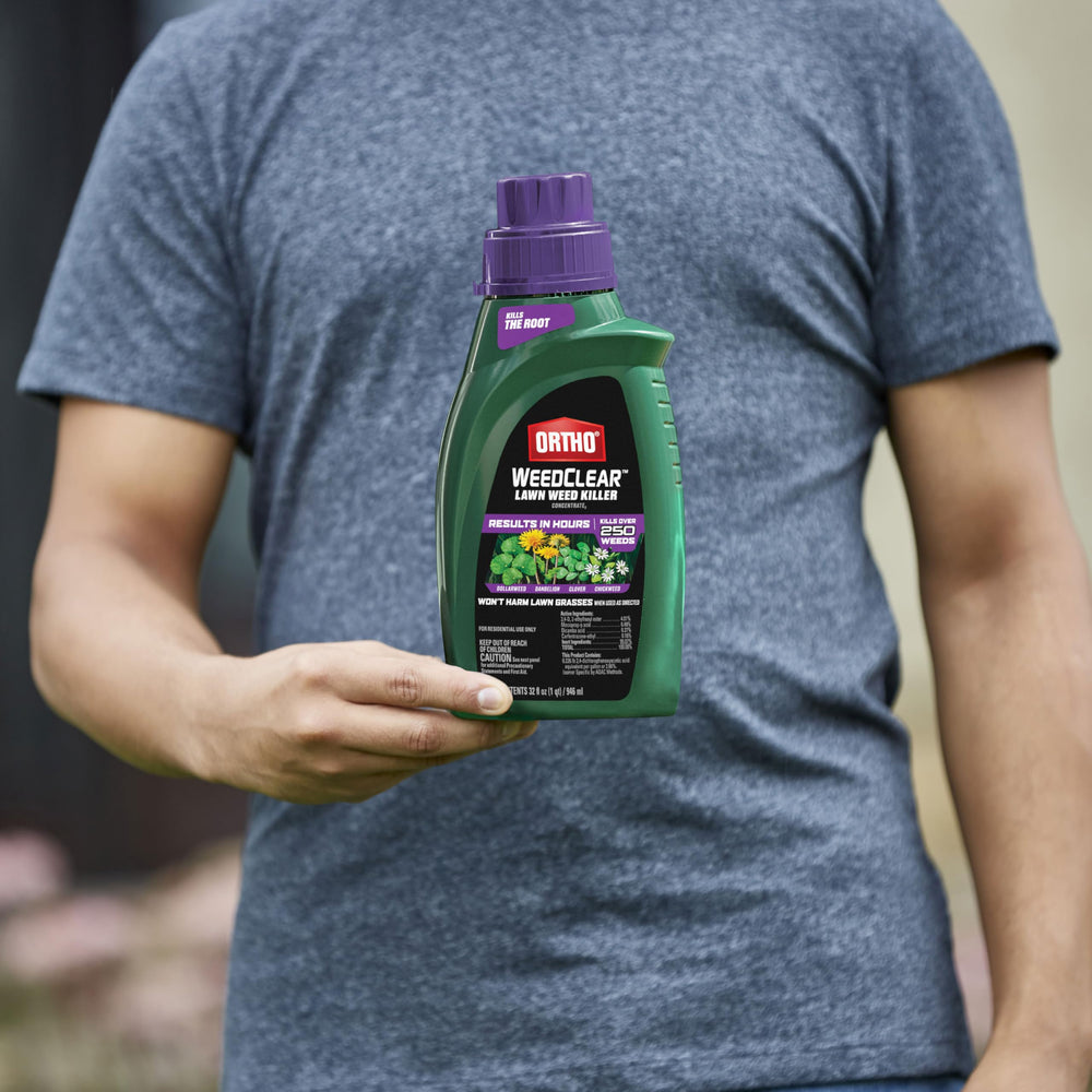Spraying Ortho WeedClear Lawn Weed Killer on grass